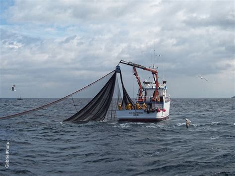 MAR DE ARTABRIA PESCA DE CERCO EN LA ESTACA DE BARES