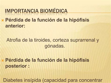 Hormonas Hipofisiarias E Hipotal Micas Ppt