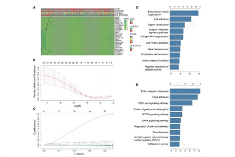 Identification Of Prognostic Pyroptosis Related Genes In Gastric