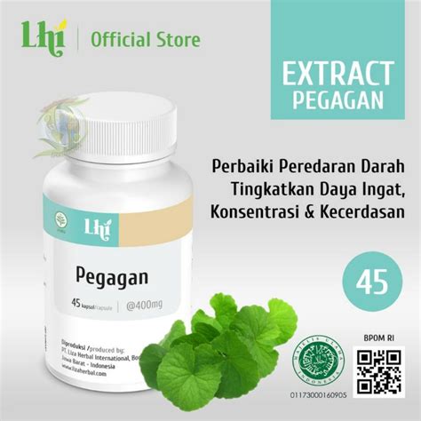 Jual Pegagan Extrak Lhi Original Melancarkan Sirkulasi Darah Isi