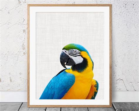 Parrot Print Parrot Wall Art Tropical Bird Print Bird Etsy Bird