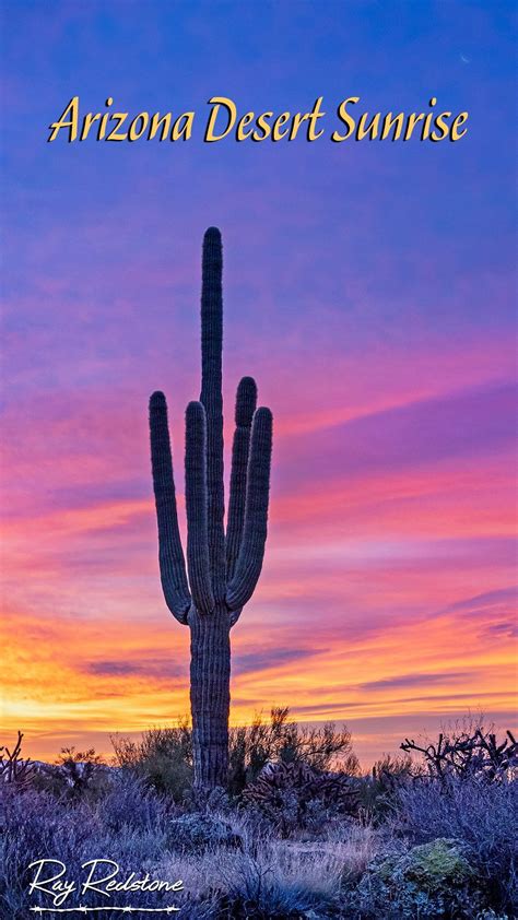 Colorful AZ Desert Sunrise With Cactus Arizona Sunrise, Desert Sunrise ...