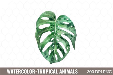 Watercolor Tropical Animals Clipart (3527337)