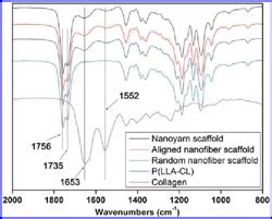 PDF Fabrication of electrospun poly L lactide co ε caprolactone