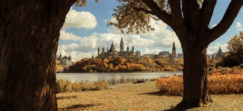 Here's When Fall Colours Will Peak In Ottawa