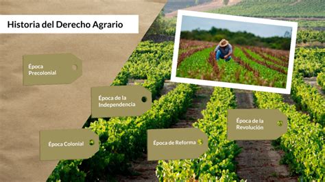 Antecedentes Del Derecho Agrario En El Mundo Image To U