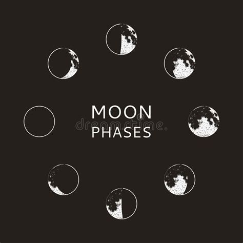 Las Fases De La Luna Ilustraciones Stock Vectores Y Clipart