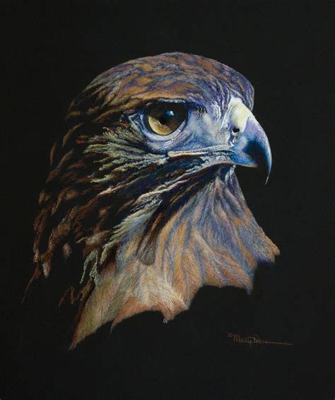 Majestic Raptor Red Tail Hawk Painting By Mary Dove Fine Art America