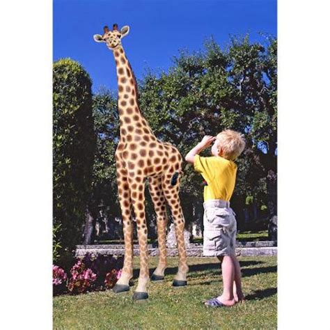 Giant Garden Giraffe Statue 95 High