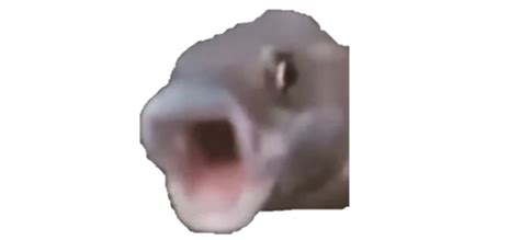 Fish Pog | SXF's Nextbots Wiki | Fandom