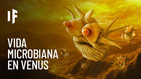 Lo Que Debes Saber Sobre Qu Pasar A Si No Existiera Venus