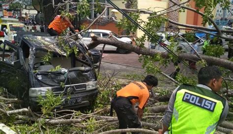 NUSABALI Pohon Tumbang Timpa Dua Mobil Di Jalan Bypass Ngurah Rai