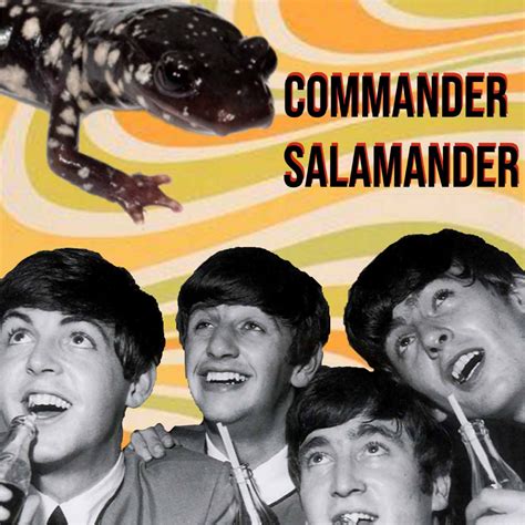 Commander Salamander | Commander Salamander | 801 Sessions