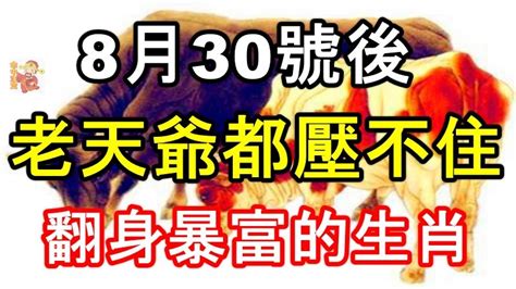 過了8月30號，老天爺都壓不住！翻身暴富的生肖！後 Peekme