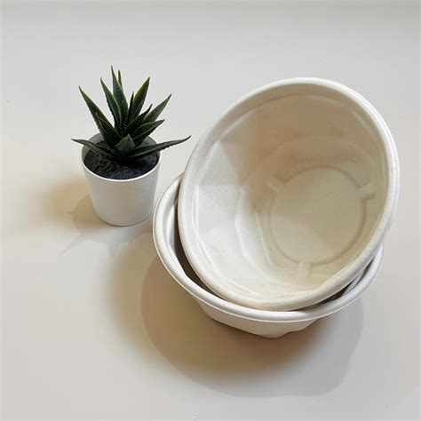 Bagasse Tableware Biodegradable Container High Quality Eco Friendly