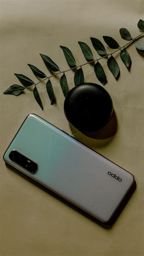 Oppo Mobile And Plant Leaf Pixahive