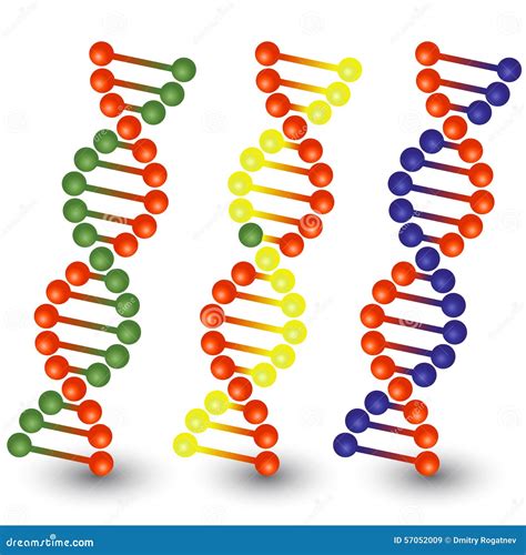 Seamless DNA Strands Stock Vector Illustration Of Genetic 57052009