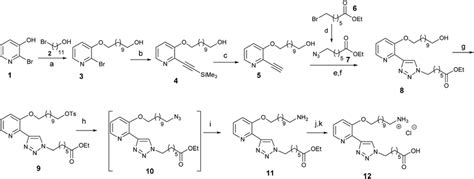 Scheme Synthetic Route To Functionalized Pyridyl Triazole