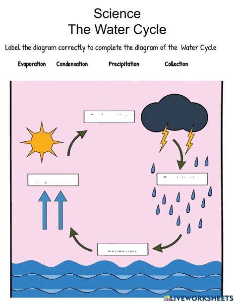 The Water Cycle Online Pdf Worksheet Live Worksheets Worksheets Library