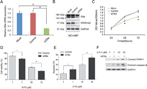 Enhancement Of 5 Fu Induced Cell Apoptosis In Nci N87 Cells With G9a