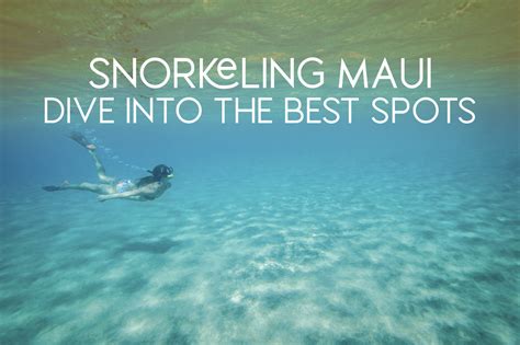 Snorkeling in Maui: Top Spots & Essential Tips in 2024