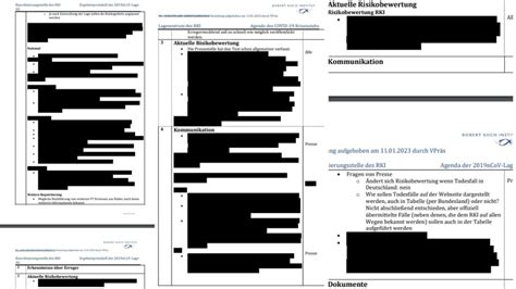 Corona Protokolle des RKI Wer gab das Signal für den ersten Lockdown