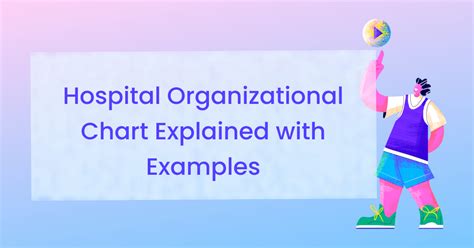 Hospital Organizational Chart Explained With Examples Edrawmax Online