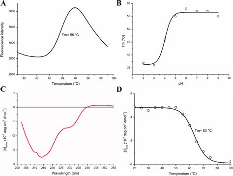 Thermal Denaturation Of MtLPMO9J Monitored By The ThermoFluor Assay And