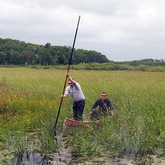 Fond du Lac Band of Lake Superior Chippewa | NativeAmerica.travel