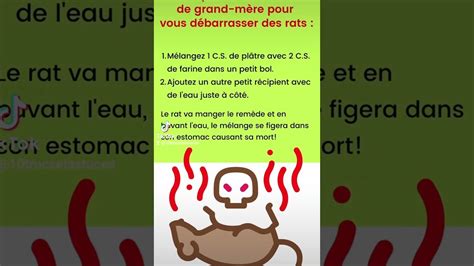 Recette De Grand M Re Efficace Pour Liminer Les Rats Nuisibles Expert