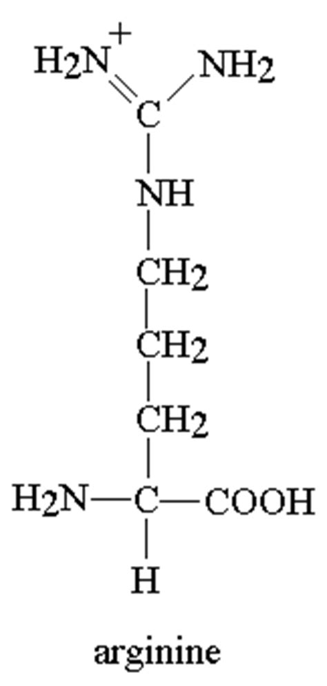 Arginine definition