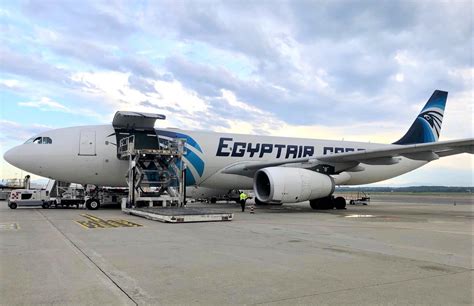 Egyptair Cargo Plans Narrowbody Freighter Expansion Cargo Facts