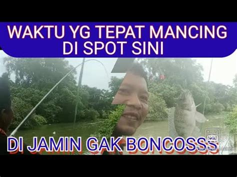 Waktu Yang Tepat Mancing Di Spot Sini Di Jamin Gak Boncos Youtube