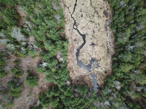 Vining Lake Community Preserve | Downeast Coastal Conservancy