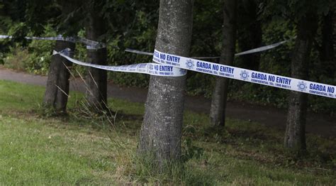 Gardai Investigating After Mans Body Found In Bushy Park Dublin The