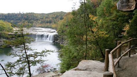 Se Permiten Perros En Cumberland Falls