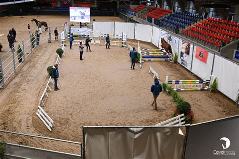 Conseil Des Chevaux Hauts De France Revivez En Images Le Concours