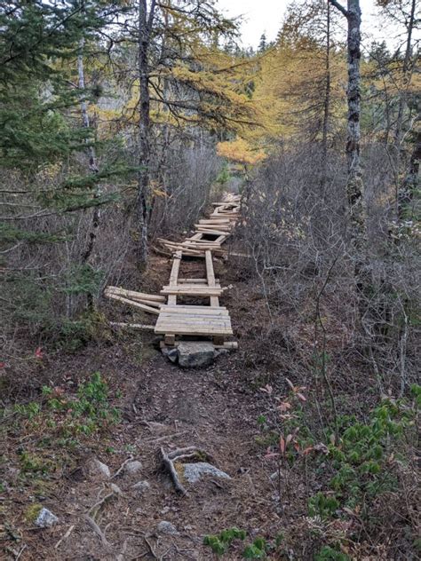 New Boardwalk Crowbar Lake Wilderness Association