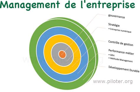 Management de l entreprise principes méthodes et concepts gouvernance