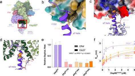 Distinct Tpr Helix Hsp C Terminal Domain Interaction Mode A The