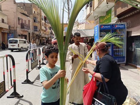 صلبان وقلوب وتيجان، 15 صورة ترصد احتفالات ليلة أحد السعف في الأقصر