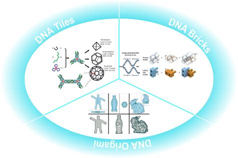 Nanomaterials Free Full Text Bottom Up Self Assembly Based On Dna