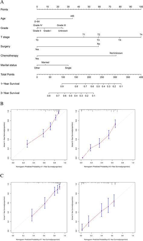 A Nomogram For Prediction Of 1 And 3 Year OS Rates Of CRC Patients