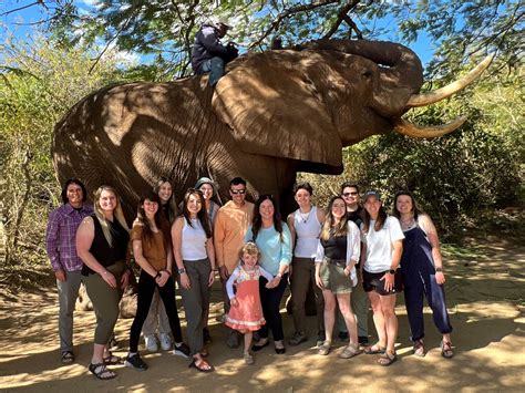 Moholoholo Wildlife Rehabilitation Centre in South Africa | College of