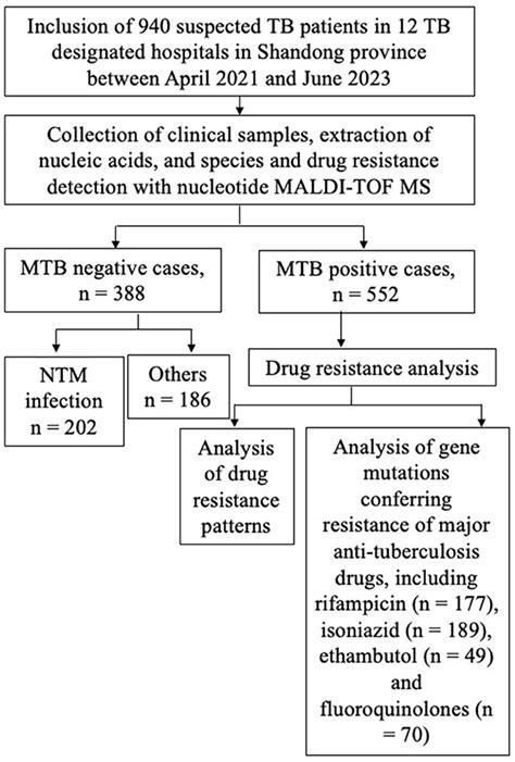 Frontiers The Positivity Rates And Drug Resistance Patterns Of