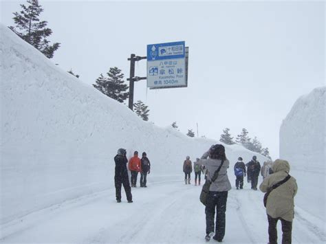 八甲田の雪の回廊 Kingdom Of Winter Trip Tohoku Winter Play Japan Tohoku