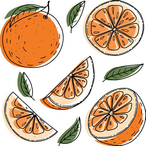 Vector orange set, orange, slice, half, whole, and leaves. Green ...