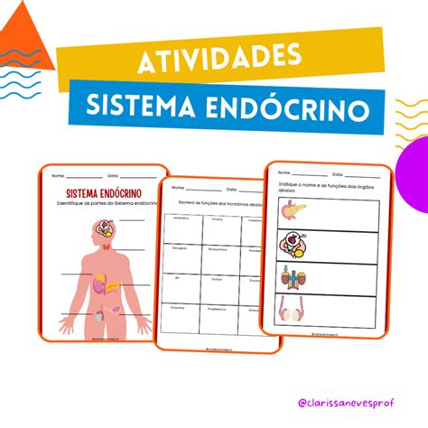 Atividade sistema endócrino Loja atividades pedagógicas Clarissa Neves