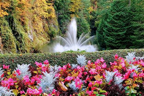 Butchart Gardens In June Fasci Garden