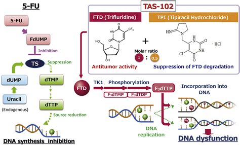 Adherence Dosing And Managing Toxicities With Trifluridinetipiracil